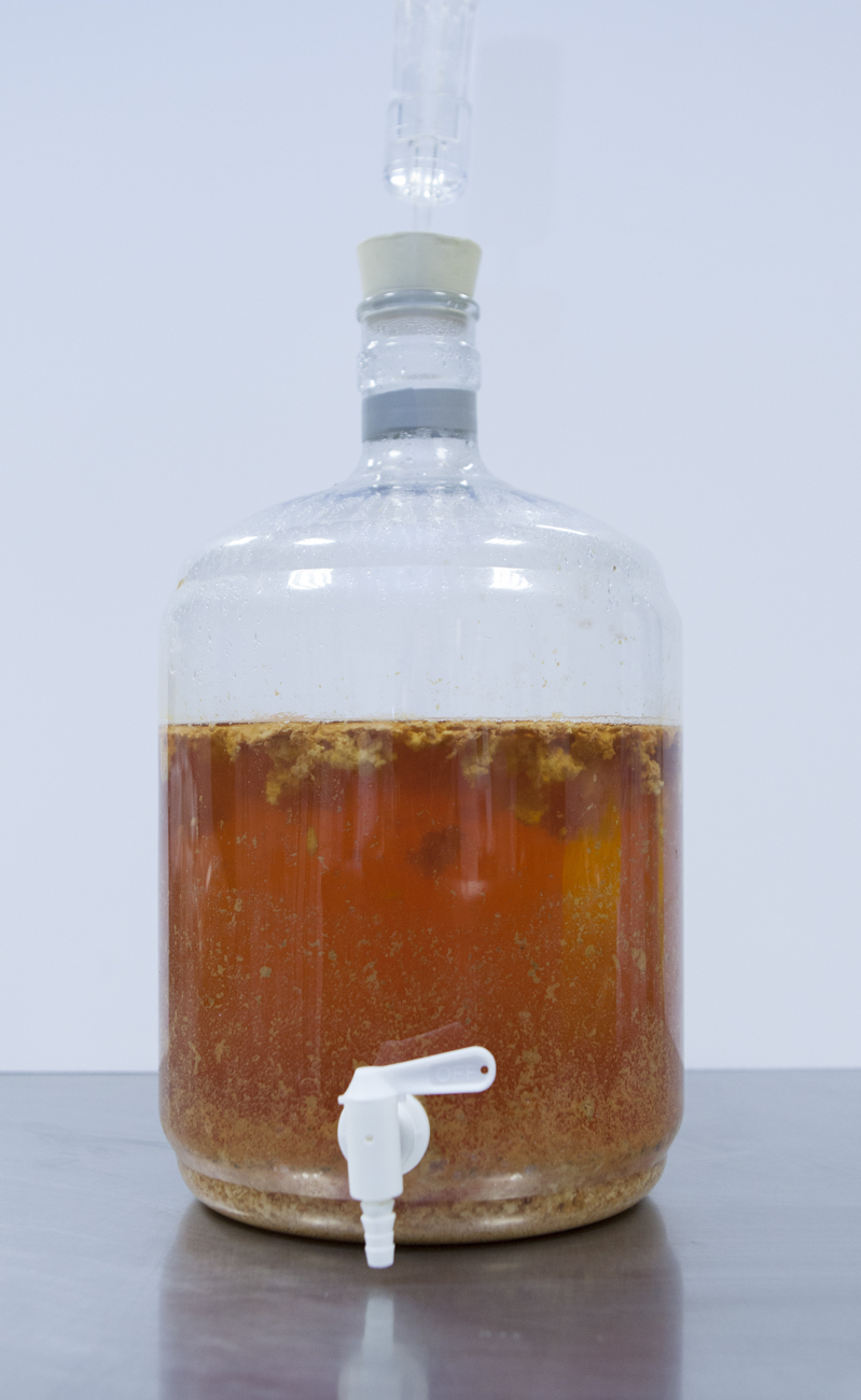 Fermentaciones (Online)